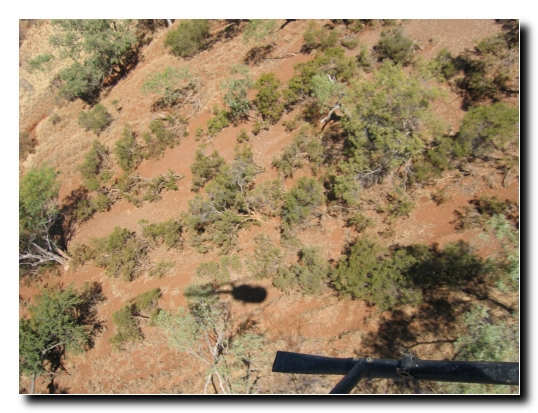 32 Juhuuu wir fliegen